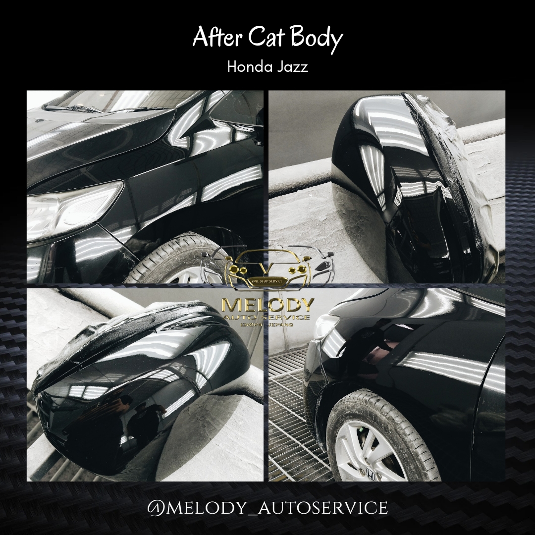 Cat & Body Repair 2.jpg