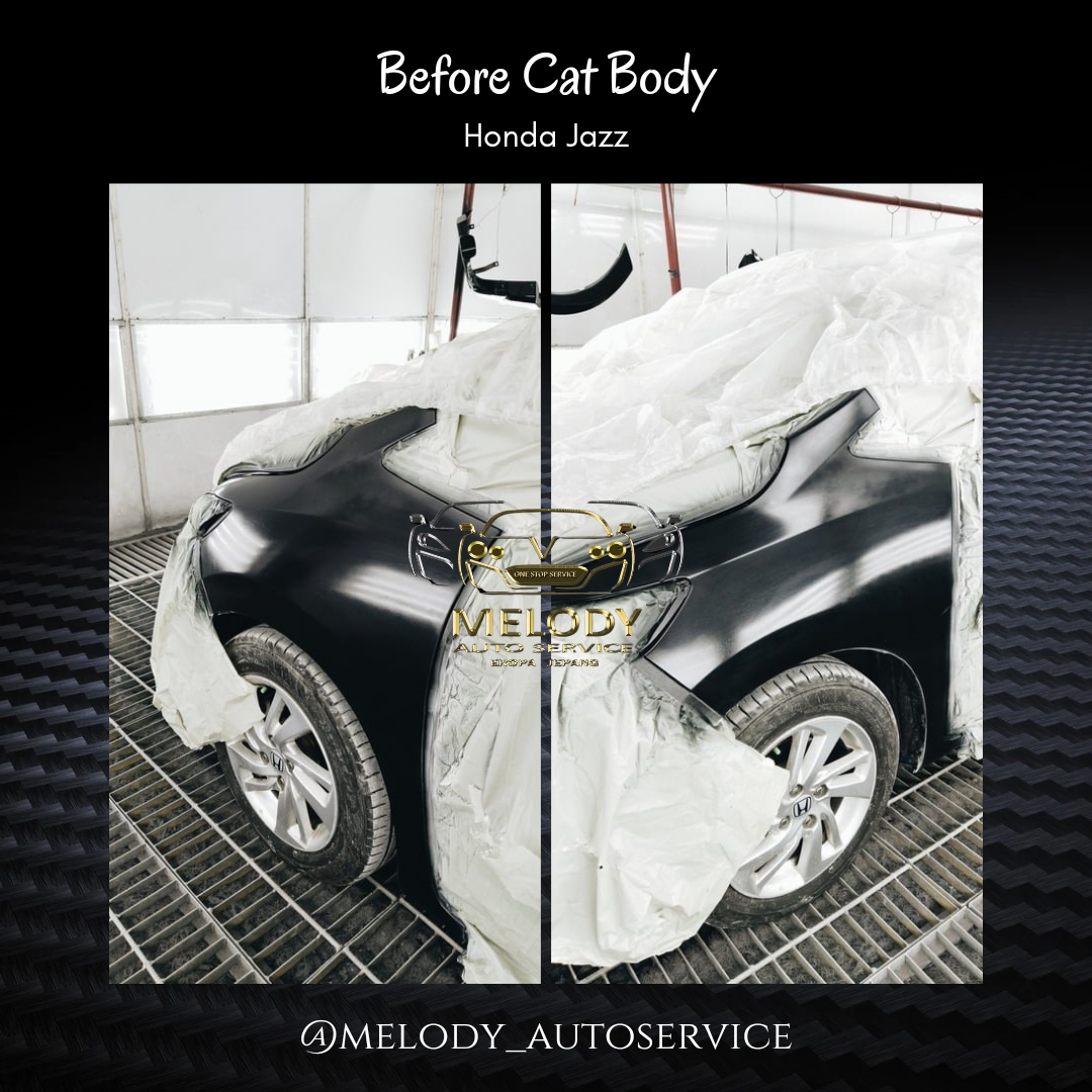 Cat & Body Repair 3.jpg